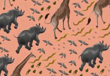 A Simple Exercise For Encouraging Independent Reading A Simple Exercise For Encouraging Independent Reading