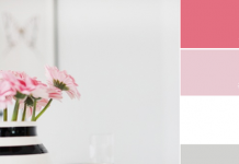 Color Love | Black, White & Pink Color Love | Black, White & Pink