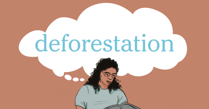 Word of the Day: deforestation
