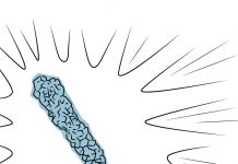 Outdoor Science Activities Outdoor Science Activities