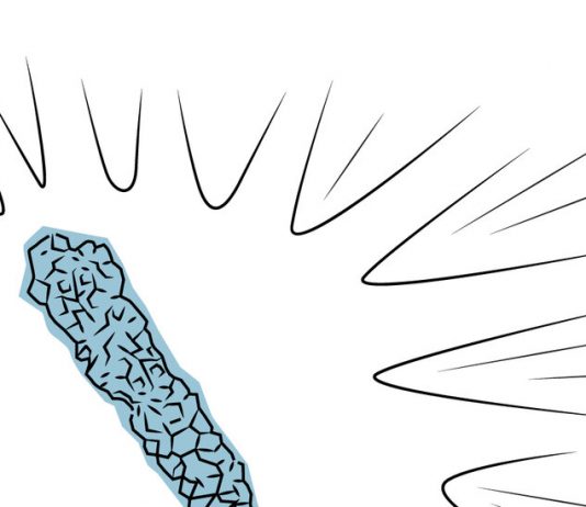 Outdoor Science Activities Outdoor Science Activities