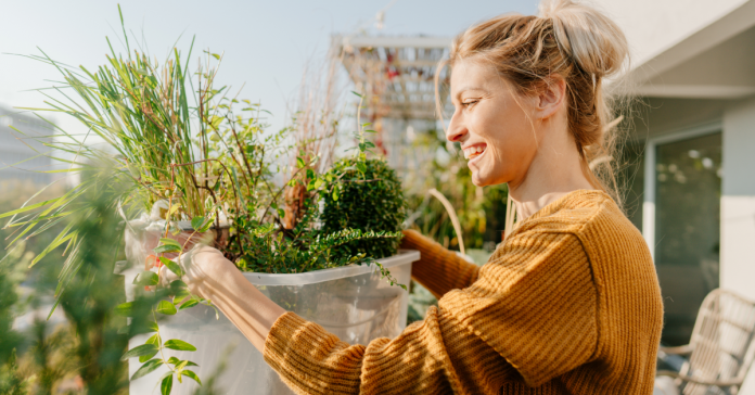 Learn About Environmental Impact and Take Action