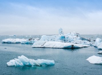 What You Can Do To Fight Climate Change What You Can Do To Fight Climate Change