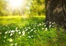 5 Ways to Learn in the Sun 5 Ways to Learn in the Sun