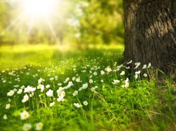 5 Ways to Learn in the Sun 5 Ways to Learn in the Sun