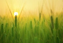 7 Unique and Interesting Courses to Try This August 7 Unique and Interesting Courses to Try This August