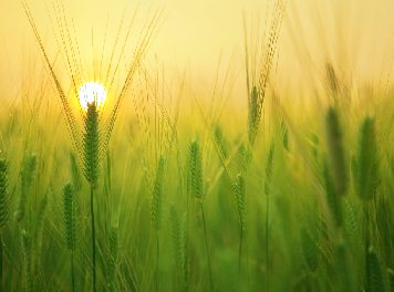 7 Unique and Interesting Courses to Try This August 7 Unique and Interesting Courses to Try This August