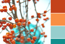 Color Love | Orange + Teal Color Love | Orange + Teal
