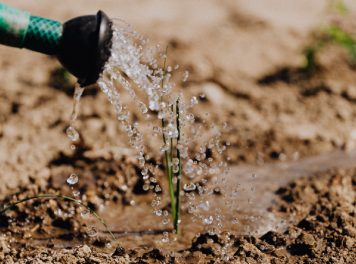 7 Great Hobbies To Start This September 7 Great Hobbies To Start This September