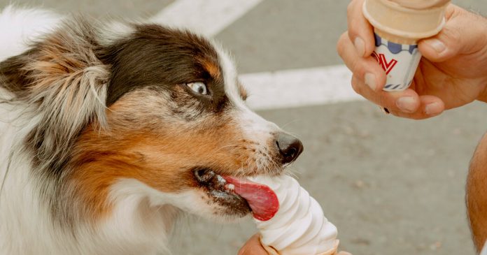 One Great Summer Memory