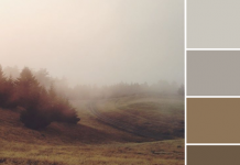 Color Love | Warm Grays & Browns Color Love | Warm Grays & Browns