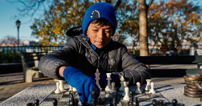 Writing About Your Life With ‘Sunday Routine’