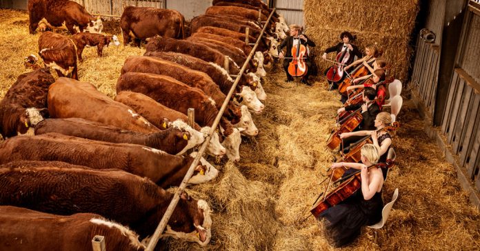 What’s Going On in This Picture? | Sept. 27, 2021