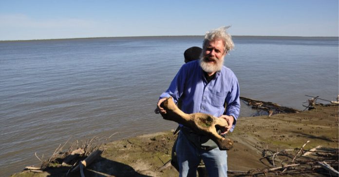 Should We Bring Back Animals From Extinction?