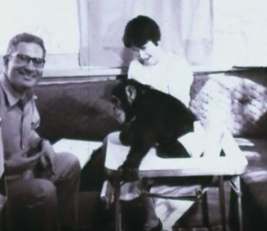 R. Allen Gardner, 91, Dies; Taught Sign Language to a Chimp Named Washoe R. Allen Gardner, 91, Dies; Taught Sign Language to a Chimp Named Washoe