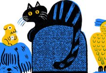Pet Ownership Pet Ownership