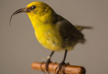 Weekly News Quiz for Students: R. Kelly Verdict, Instagram App, U.S. Wildlife Report Weekly News Quiz for Students: R. Kelly Verdict, Instagram App, U.S. Wildlife Report