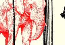 Elephant and Donkey Elephant and Donkey