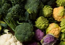 Vocabulary in Context: Cauliflower Fractals Vocabulary in Context: Cauliflower Fractals