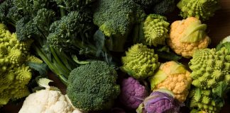 Vocabulary in Context: Cauliflower Fractals Vocabulary in Context: Cauliflower Fractals