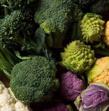 Vocabulary in Context: Cauliflower Fractals Vocabulary in Context: Cauliflower Fractals