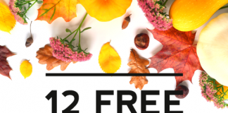 12 Unique & Free Halloween Fonts You Need to Know! 12 Unique & Free Halloween Fonts You Need to Know!