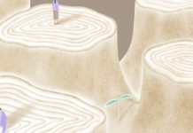 Do You Experience Climate Anxiety? Do You Experience Climate Anxiety?