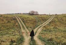 Two Roads Two Roads