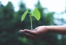 5 Ways to Make Your Workplace Greener 5 Ways to Make Your Workplace Greener