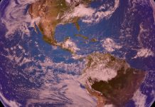 The Whole World The Whole World