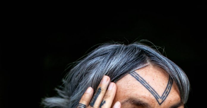 Vocabulary in Context: Inked Mummies