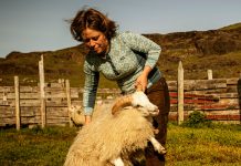 Weekly Accessible Learning Activities: Analyze a Photo, Write a Story, Reflect on Community Weekly Accessible Learning Activities: Analyze a Photo, Write a Story, Reflect on Community