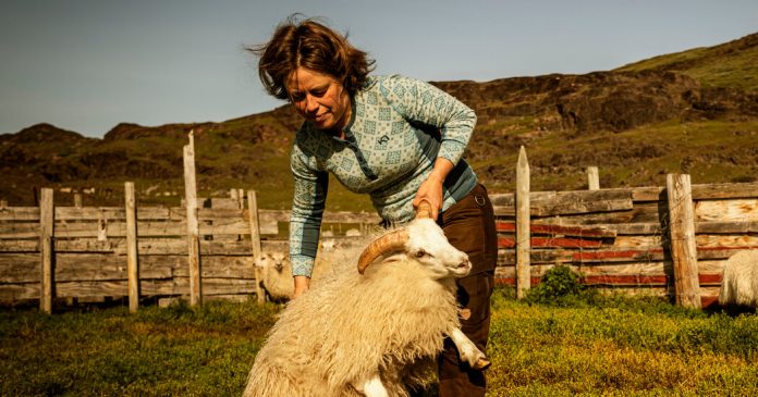 Weekly Accessible Learning Activities: Analyze a Photo, Write a Story, Reflect on Community