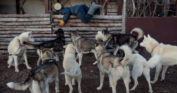 What’s Going On in This Picture? | Nov. 22, 2021