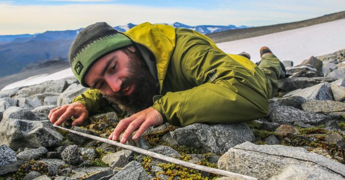 Lesson of the Day: ‘What’s Emerging From the Melting Ice?’