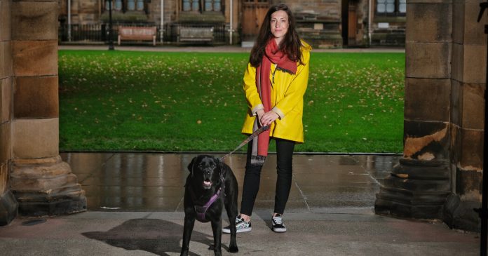 Lesson of the Day: ‘Hoping for a Dog Phone? You May Have a Long Wait.’