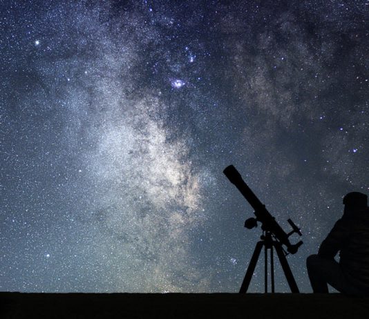 The Learning Systems to Watch in 2022 The Learning Systems to Watch in 2022