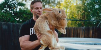 Vocabulary in Context: Exotic Pets Vocabulary in Context: Exotic Pets