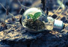 Sustainable jobs for a future-proof career! Sustainable jobs for a future-proof career!