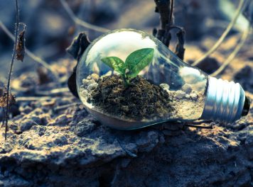 Sustainable jobs for a future-proof career! Sustainable jobs for a future-proof career!
