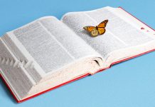 What Students Are Saying About Rejection, Overcoming Fear and Their ‘Word of the Year’ What Students Are Saying About Rejection, Overcoming Fear and Their ‘Word of the Year’