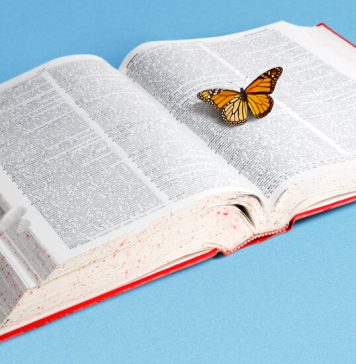 What Students Are Saying About Rejection, Overcoming Fear and Their ‘Word of the Year’ What Students Are Saying About Rejection, Overcoming Fear and Their ‘Word of the Year’