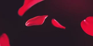 Free February 2022 Wallpaper & Instagram quote Free February 2022 Wallpaper & Instagram quote