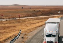 Weekly Accessible Learning Activities: Truck Drivers, Basketball Heroes and Love Weekly Accessible Learning Activities: Truck Drivers, Basketball Heroes and Love