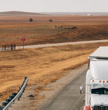 Weekly Accessible Learning Activities: Truck Drivers, Basketball Heroes and Love Weekly Accessible Learning Activities: Truck Drivers, Basketball Heroes and Love
