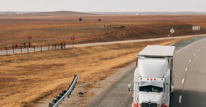 Weekly Accessible Learning Activities: Truck Drivers, Basketball Heroes and Love