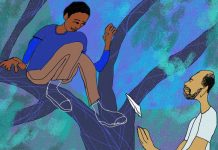 Up in a Tree Up in a Tree