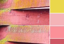 Color Love | Yellow & Pinks Color Love | Yellow & Pinks