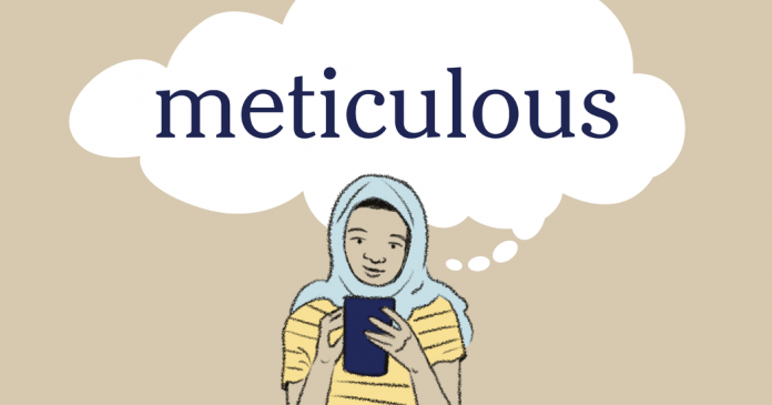 Word of the Day: meticulous