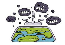 Lesson of the Day: Peat, the Unsung Hero of Carbon Capture Lesson of the Day: Peat, the Unsung Hero of Carbon Capture